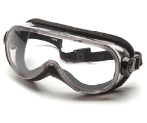 Eye Goggles