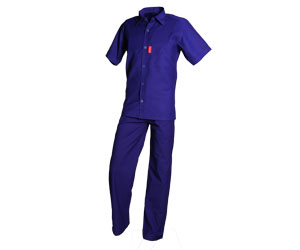 Half Sleeves Shirt & Formal Trouser